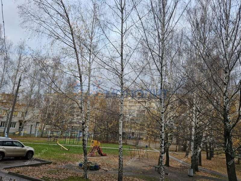 двухкомнатная квартира на улице Ступишина дом 11 город Кстово