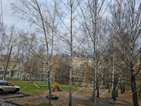 2-komnatnaya-gorod-kstovo-kstovskiy-rayon фото