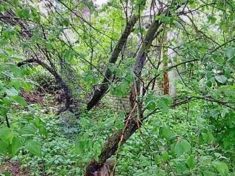 двухкомнатная квартира на улице Гусева дом 30 село Надежино