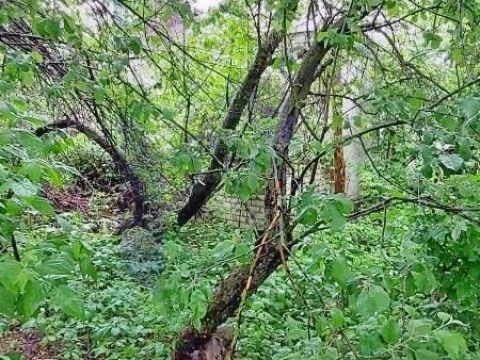 2-komnatnaya-selo-nadezhino-ardatovskiy-rayon фото
