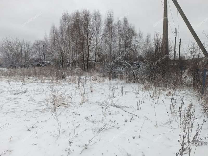 земельный участок 25 соток Центральная улица село Криуша