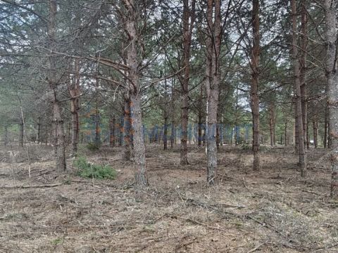 ivanovskoe-sloboda-gorodskoy-okrug-bor фото