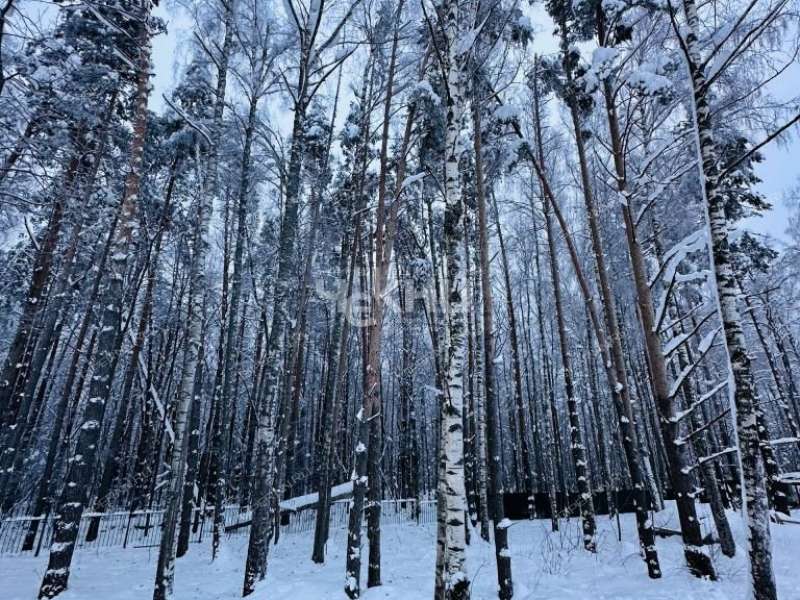 дом на ТСН Чистые ключи