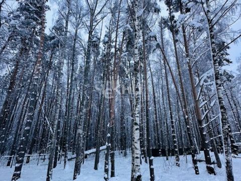 dom-tsn-chistye-klyuchi-dalnekonstantinovskiy-rayon фото