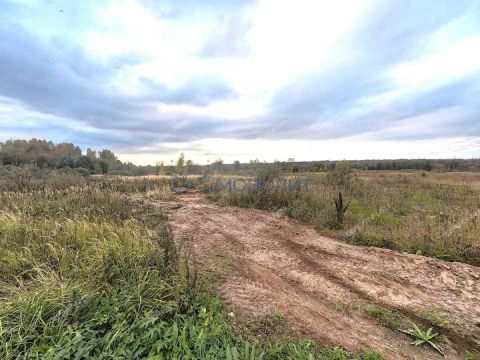 derevnya-gremyachki-bogorodskiy-municipalnyy-okrug фото