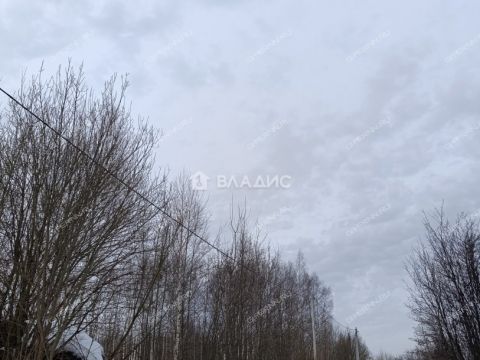 derevnya-afonino-kstovskiy-rayon фото