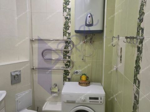 1-komnatnaya-b-r-meshherskiy-d-5a фото