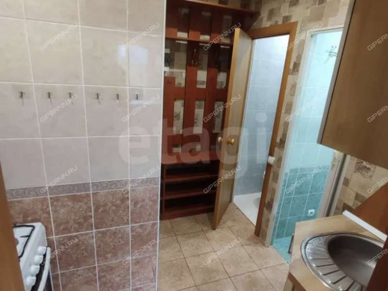 однокомнатная квартира на улице Бориса Панина дом 19к