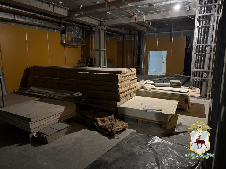 Фото: ГУ МВД России по Нижегородской области