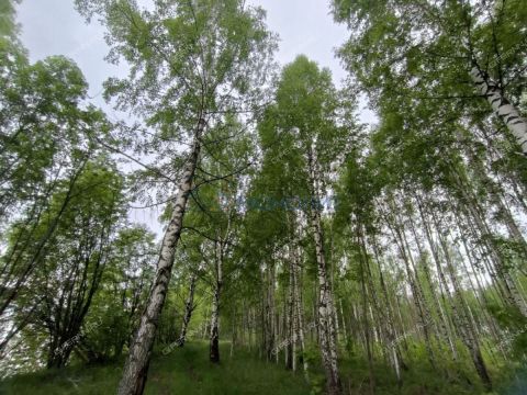derevnya-besedy-gorodskoy-okrug-chkalovsk фото