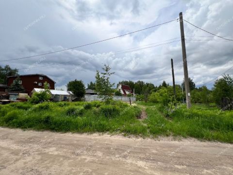 derevnya-zabore-gorodskoy-okrug-bor фото