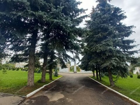 2-komnatnaya-derevnya-prokoshevo-kstovskiy-rayon фото