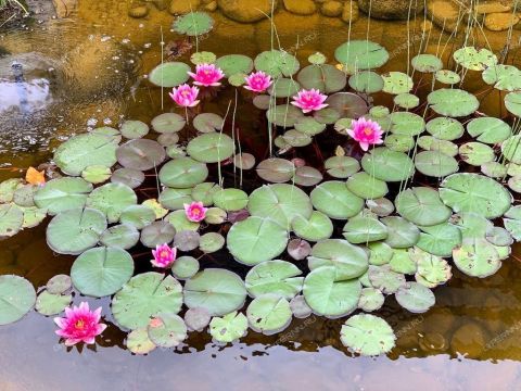 dom-derevnya-shumilovo-bogorodskiy-municipalnyy-okrug фото