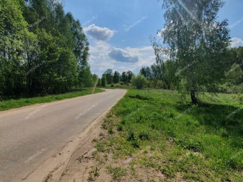 dom-derevnya-chaglava-kstovskiy-rayon фото