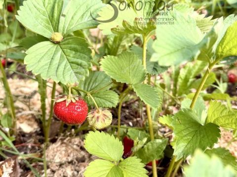dom-derevnya-hvatkovo-bogorodskiy-municipalnyy-okrug фото