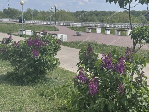 3-komnatnaya-gorod-dzerzhinsk-gorodskoy-okrug-dzerzhinsk фото