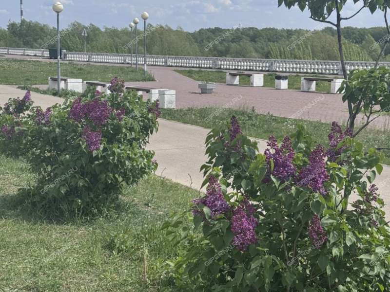 трёхкомнатная квартира на улице Попова дом 22 город Дзержинск