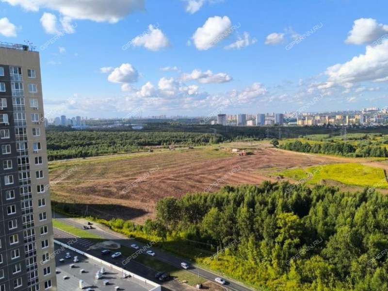 четырёхкомнатная квартира на Русской улице улице дом 9 деревня Анкудиновка