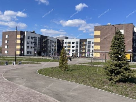1-komnatnaya-poselok-parysheva-ul-zelenhozovskaya-1-s фото