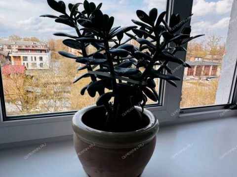 ul-podvodnikov-d-5 фото