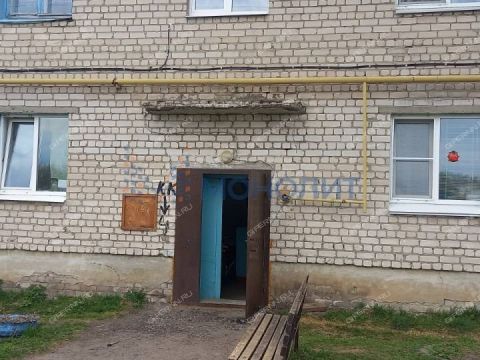2-komnatnaya-derevnya-sysoevka-bogorodskiy-municipalnyy-okrug фото