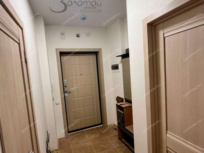 однокомнатная квартира на Русской улице улице дом 19 деревня Анкудиновка