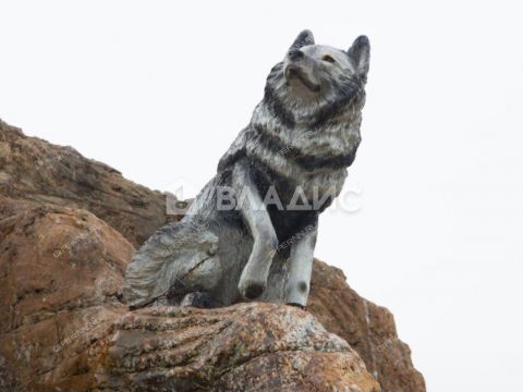 gorod-balahna-balahninskiy-municipalnyy-okrug фото