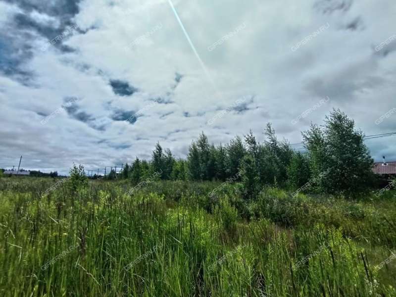 земельный участок 6 соток ТСН Бугров Парк