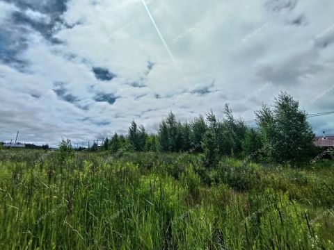 tsn-bugrov-park-dalnekonstantinovskiy-rayon фото