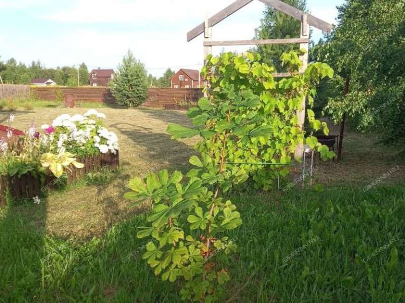 дача на Луговая деревня Яблоново