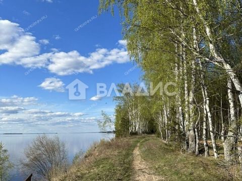 derevnya-galkino-sokolskiy-gorodskoy-okrug фото