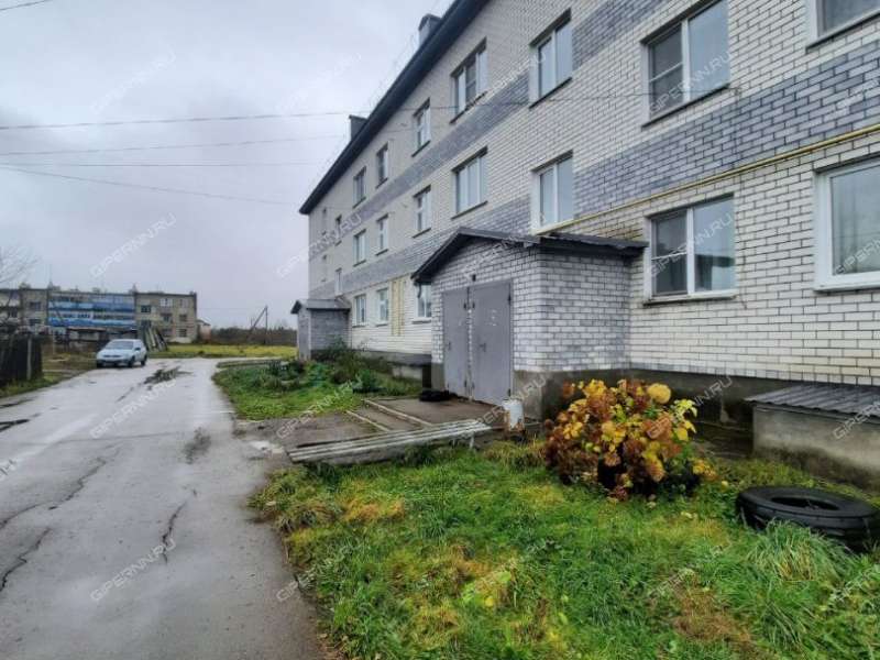 двухкомнатная квартира на улице Мира село Кержемок