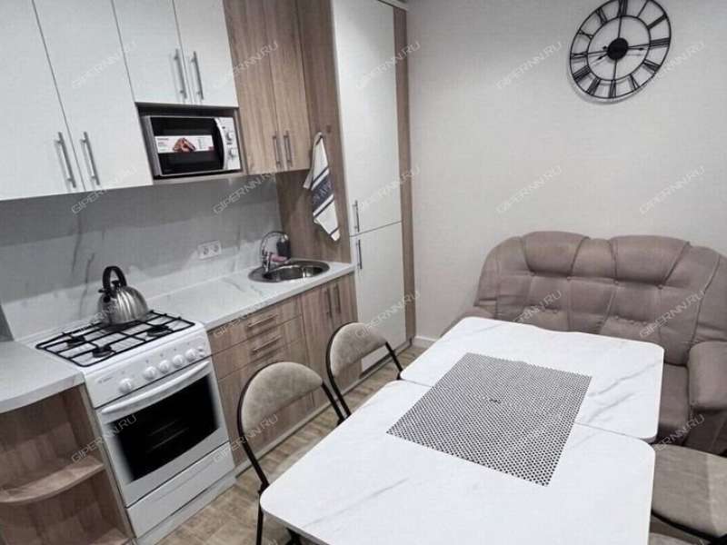 однокомнатная квартира на улице Белинского дом 95