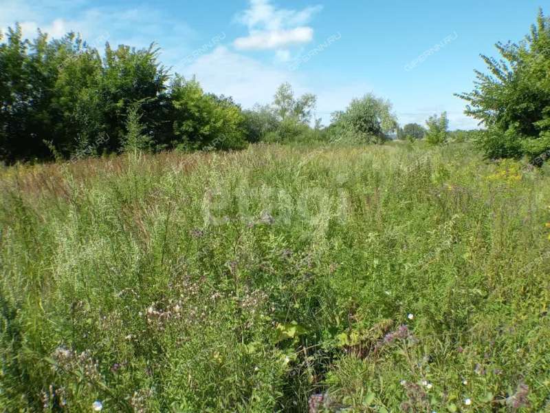 земельный участок 13,1 сотки улица Черкасский Порядок село Афанасьево