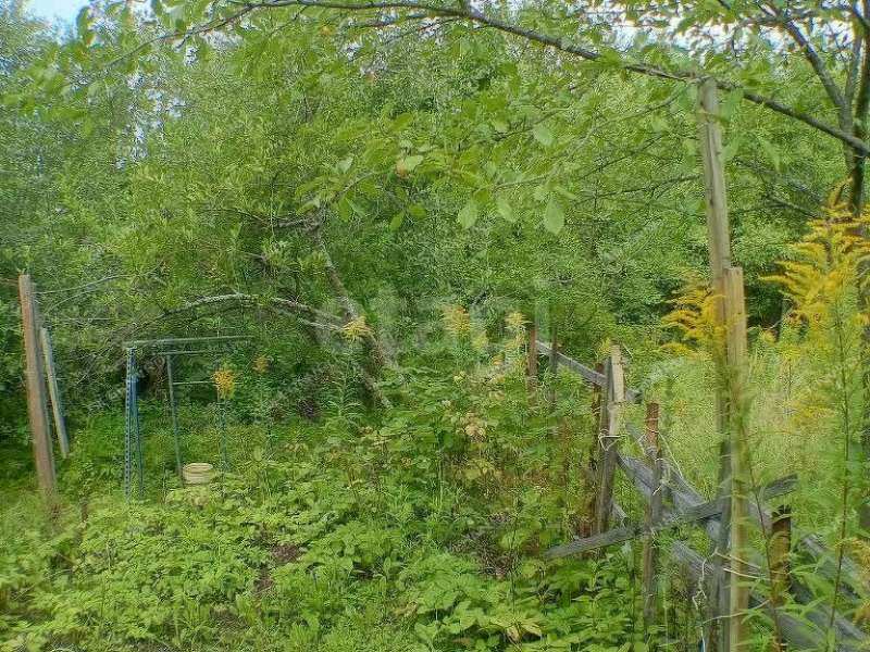 земельный участок 5,7 сотки «Маяк» садовое товарищество