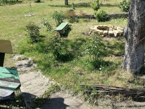 dacha-s-t-im-timiryazeva-territoriya фото