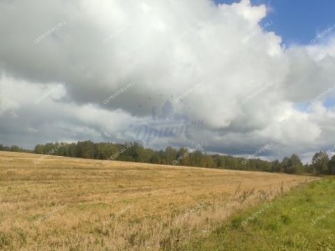 derevnya-tkalino-gorodeckiy-rayon фото