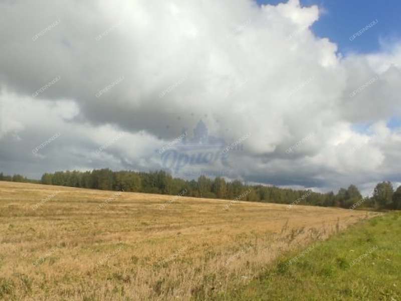 земельный участок 15 соток деревня Ткалино