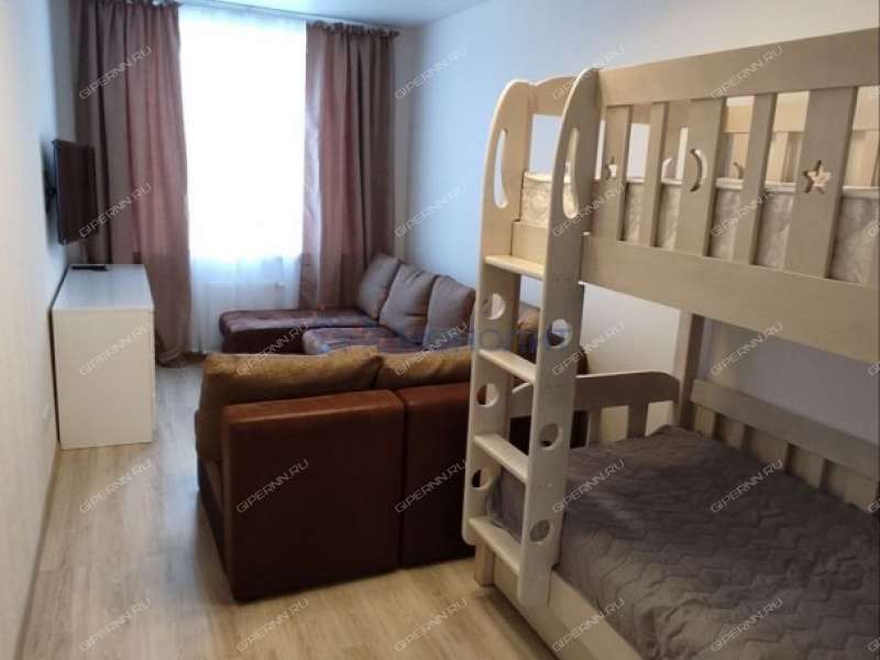 однокомнатная квартира на Русской улице улице дом 19 деревня Анкудиновка