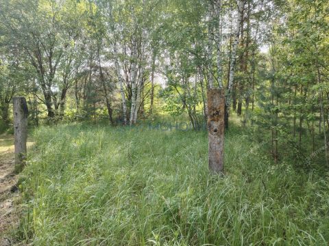 derevnya-chapurda-bogorodskiy-municipalnyy-okrug фото