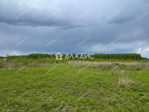 selo-ostankino-gorodskoy-okrug-bor фото