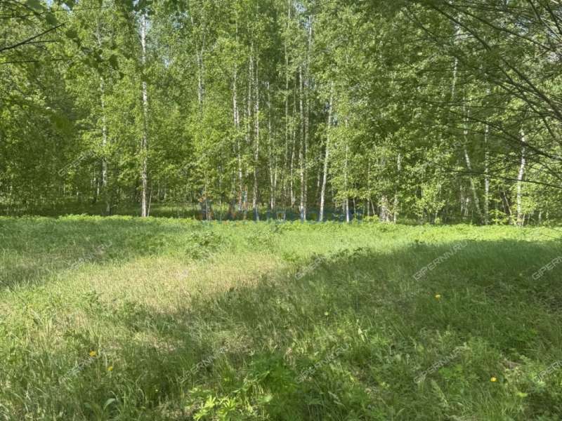 земельный участок 15 соток ул ТИЗ Елховка - Лесная 11 село Елховка