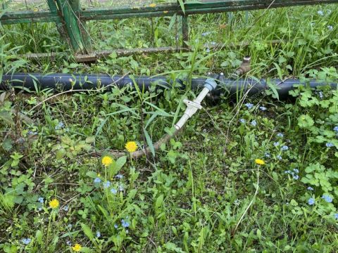 dacha-derevnya-syrohvatovo-gorodskoy-okrug-bor фото