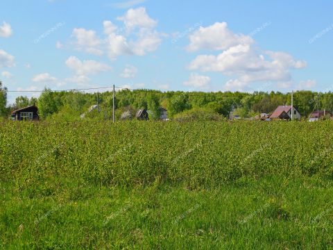 derevnya-shopovo-bogorodskiy-municipalnyy-okrug фото